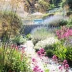 Surviving Summer: a beautiful mediterranean garden for heat and drought