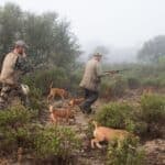 Alcoutim enlists hunters to help prevent wildfires