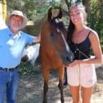Did you know…Family Constellation and Equine Therapy