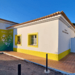 Meet Tavira’s animals looking for a new home