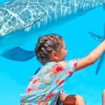 Zoomarine resident offer returns with tickets from €17