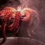 Santa Luzia celebrates World Octopus Day with four-day food trail
