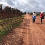 Alentejo Walking Festival returns with almost 50 routes