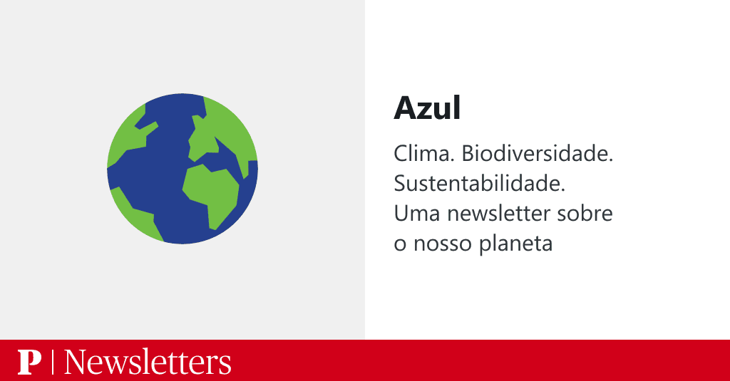 Where is the real environmental lag occurring?