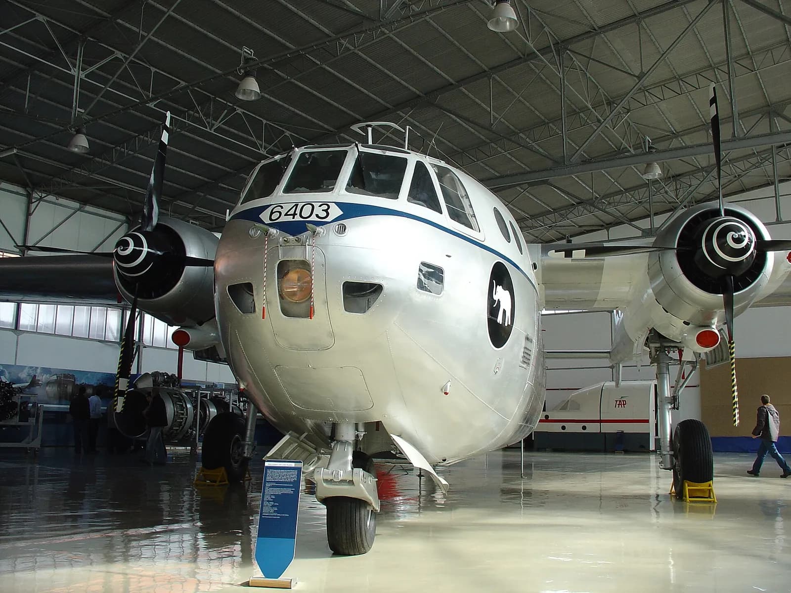 A twin-engine, twin-boom transport aircraft painted silver with a blue cheat line and the number 6403 on its nose, displayed indoors in a large museum hangar.