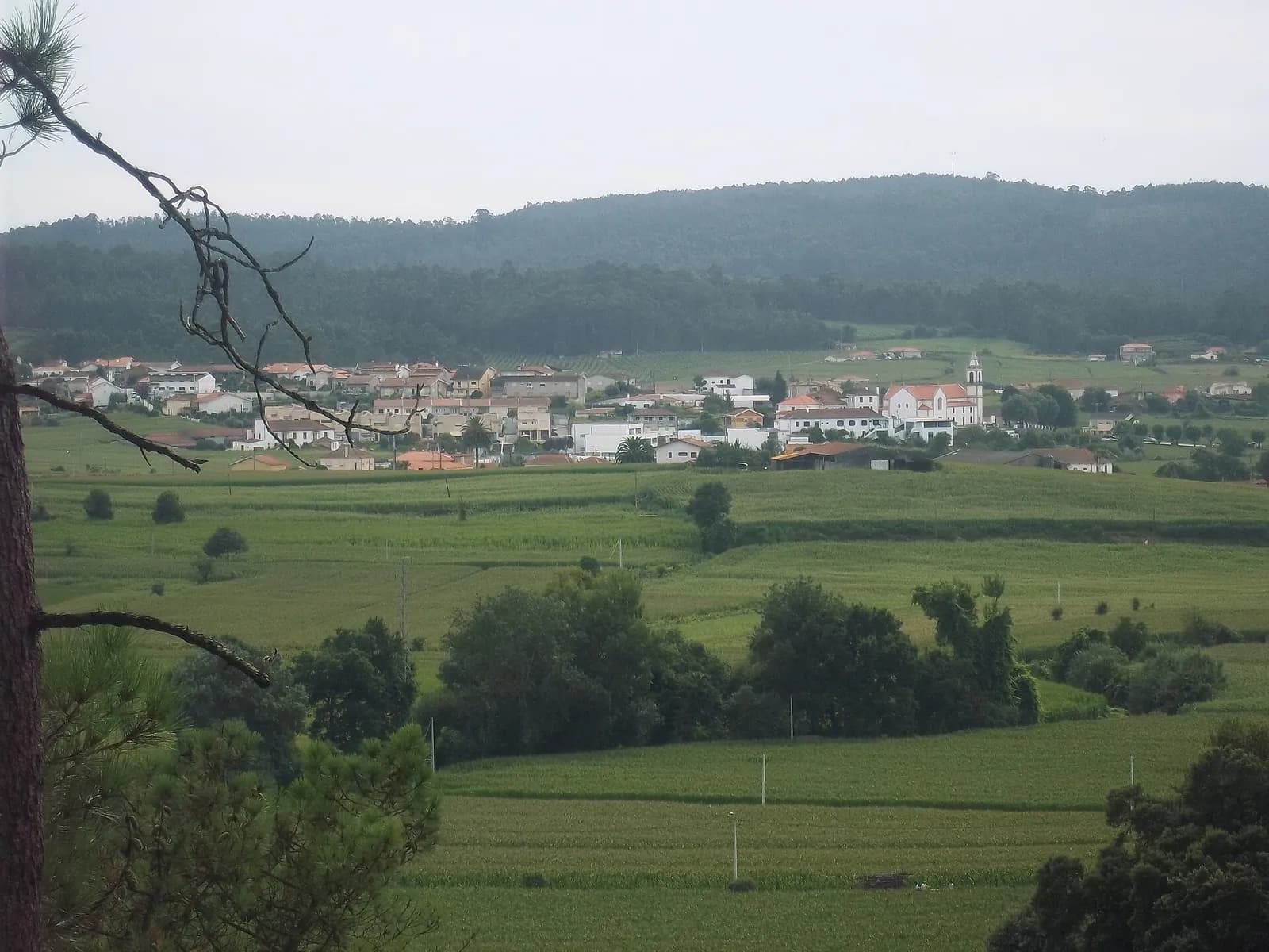 Green fields of maize and pasture in the foreground lead to a village of white houses and a church with a bell tower, with a wooded ridge behind under an overcast sky.