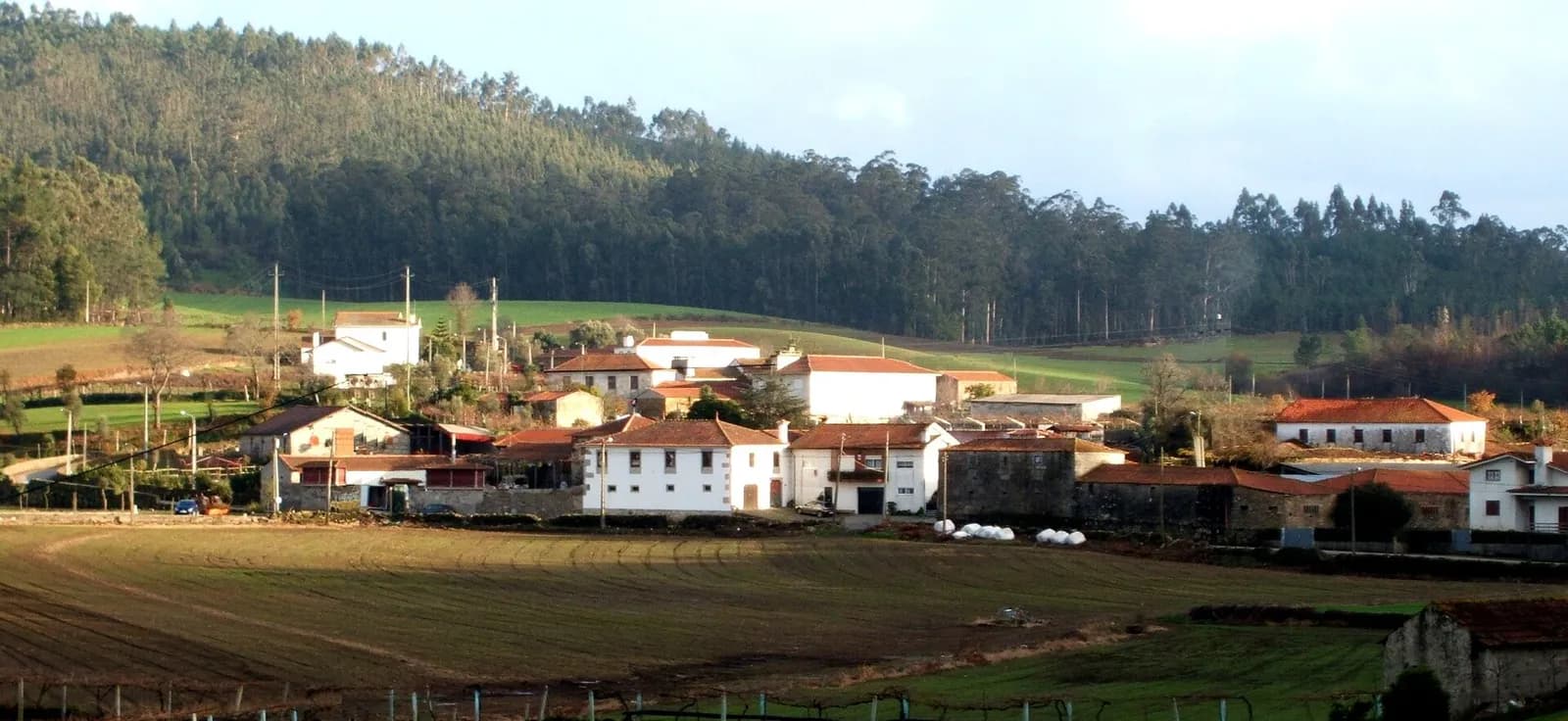 A cluster of white houses with red-tiled roofs sits among green fields at the foot of a hill covered in eucalyptus and pine trees, lit by low sun.