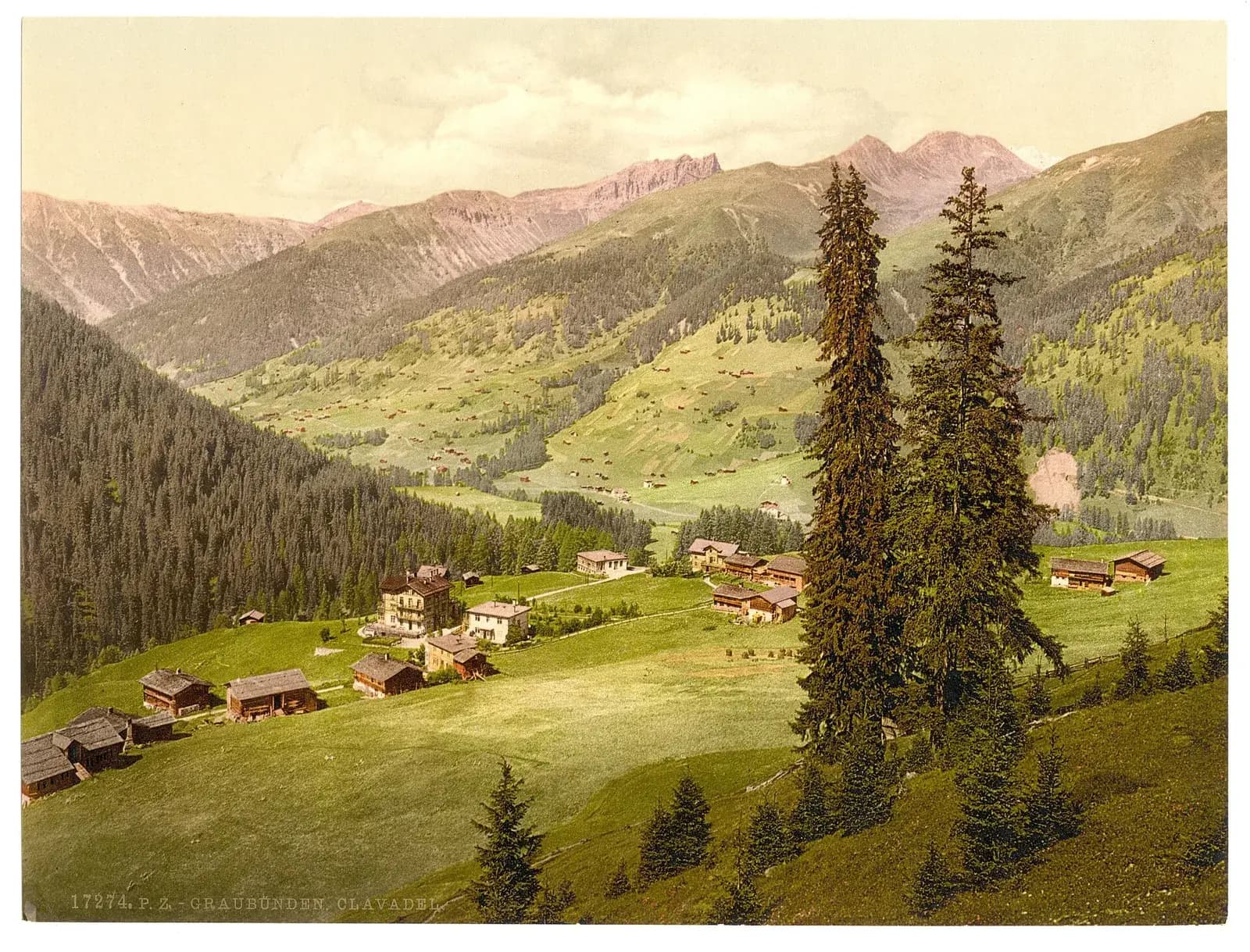 A colour-tinted view of a green alpine valley. Wooden chalets and a few larger buildings are scattered across a meadow below wooded slopes, with tall dark firs in the foreground and bare rocky peaks behind.
