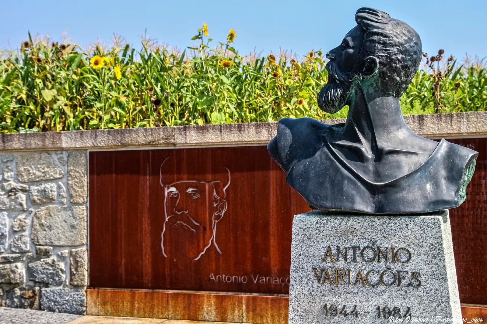 A dark bronze bust of a bearded man with his hair tied up, looking upwards, on a granite plinth inscribed António Variações 1944–1984. Behind it is a rusted steel panel engraved with his face, a stone wall and a tall field of maize and sunflowers.