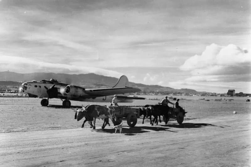 Two ox carts driven by local men, with a small dog trotting alongside, cross a dusty airfield in front of a parked four-engined bomber whose engines are running.
