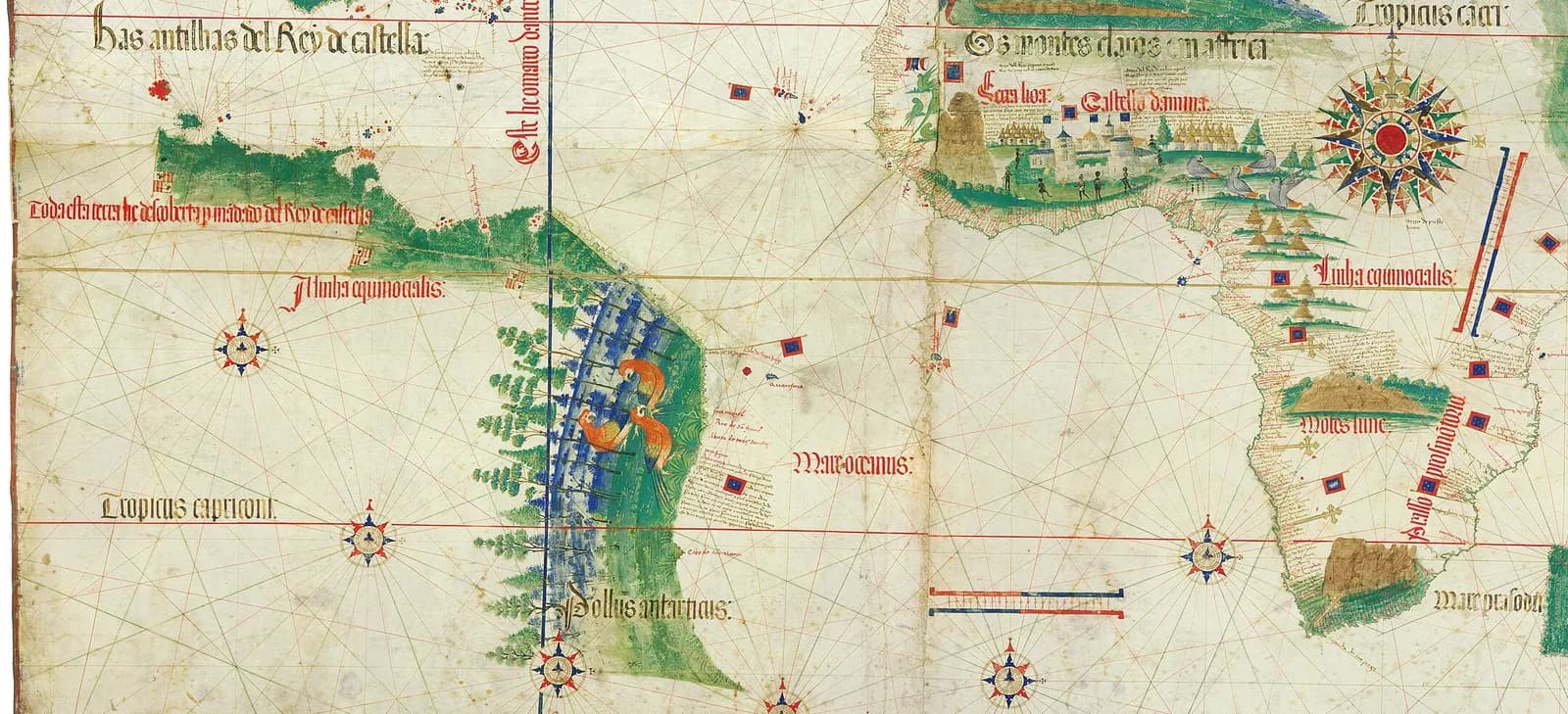 Detail of a hand-painted world map on parchment. On the left a green coastline with trees and three large red-and-yellow parrots juts east into the ocean, crossed by a vertical blue line; on the right is the bulge of West Africa with castles and a large compass rose. Red and black handwriting labels the seas and the equator.