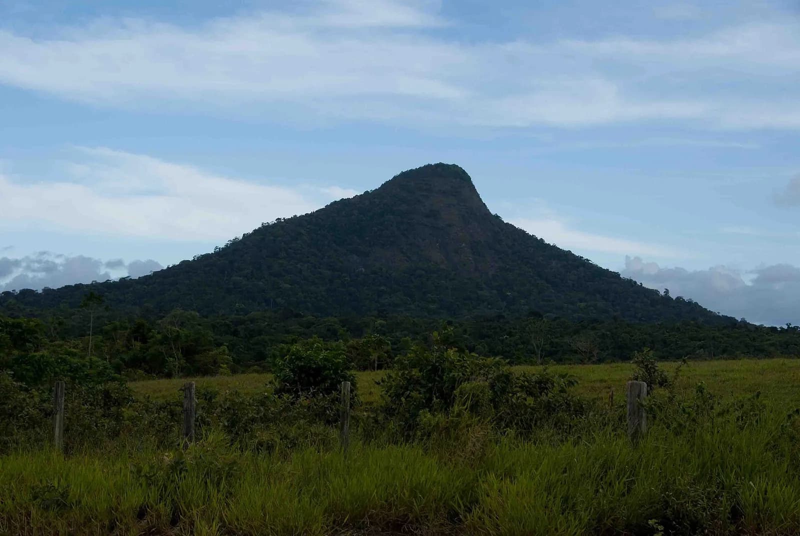 A steep, forested hill with a rounded summit rises above flat green pasture and a line of wooden fence posts, under a pale blue sky streaked with cloud.