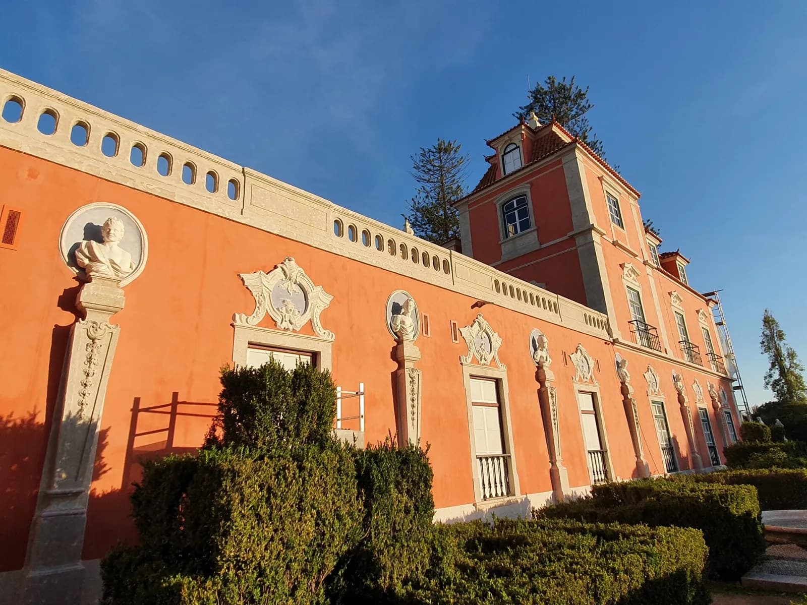 A long salmon-pink palace wall with white stone window frames, carved busts in roundels and a balustrade, rising to a tower with a tiled roof, behind clipped box hedges in low sunlight.