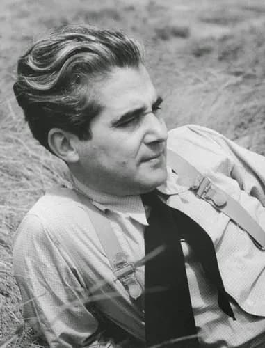 Black-and-white photograph of a man with wavy dark hair lying back in long grass, wearing a checked shirt, braces and a loose dark tie, looking to one side.