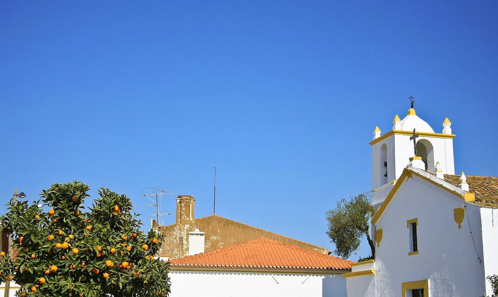 A whitewashed church with yellow trim and a small bell tower stands against a deep blue sky, beside a low house with a red tiled roof. An orange tree heavy with fruit fills the left foreground.