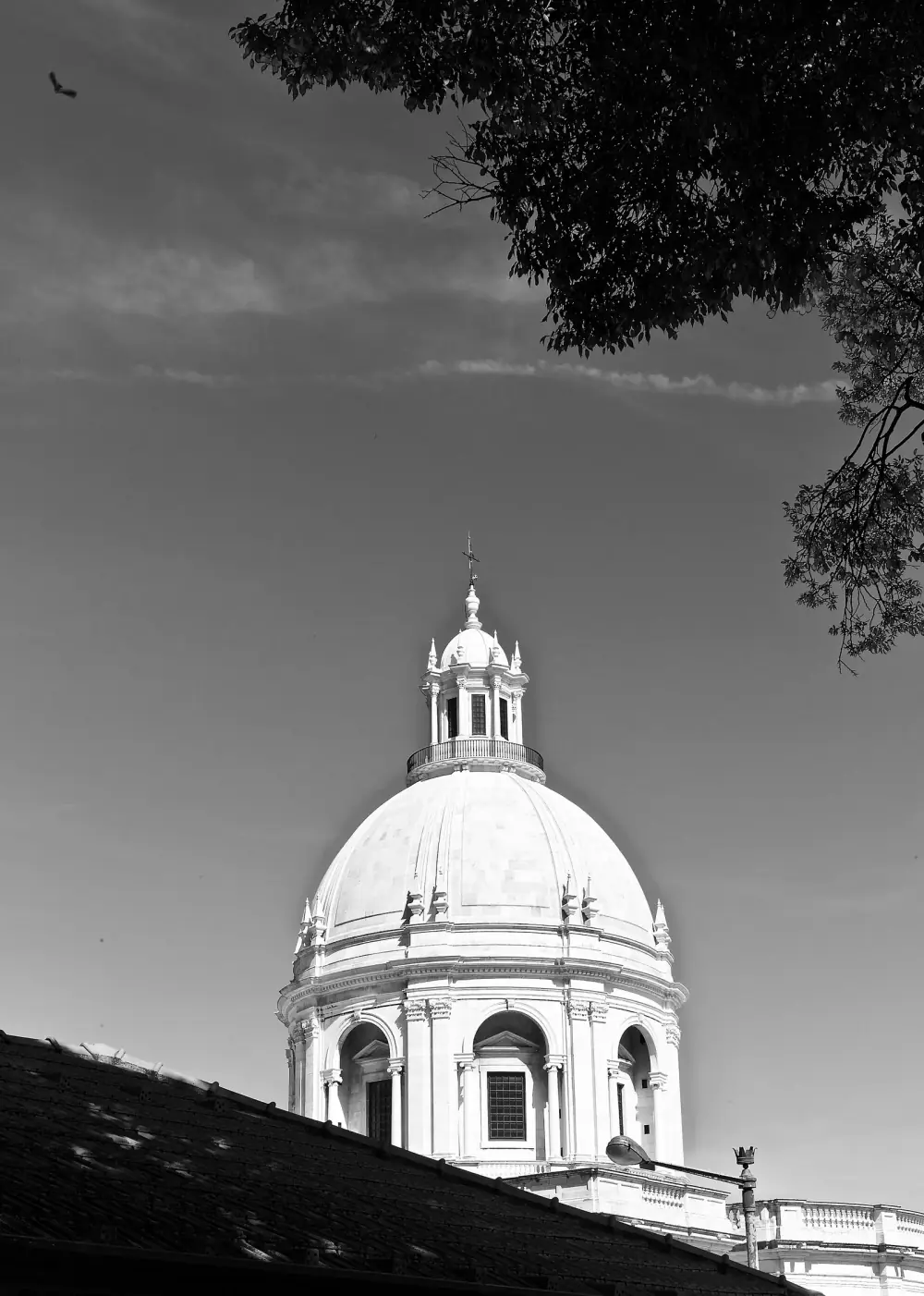 Black-and-white photograph of a white Baroque dome with a lantern and cross, rising above a tiled roof into a clear sky, framed by the dark leaves of a tree.