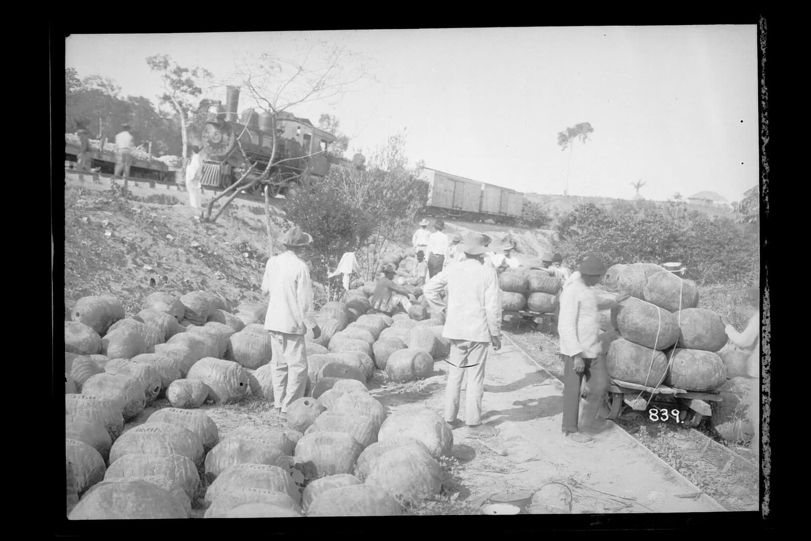 Black-and-white photograph of dozens of large, round balls of raw rubber lying on the ground beside a narrow track. Men in pale shirts and hats stand among them, a small trolley on the right is stacked with balls tied on with rope, and a steam locomotive and wagons stand on the embankment behind.