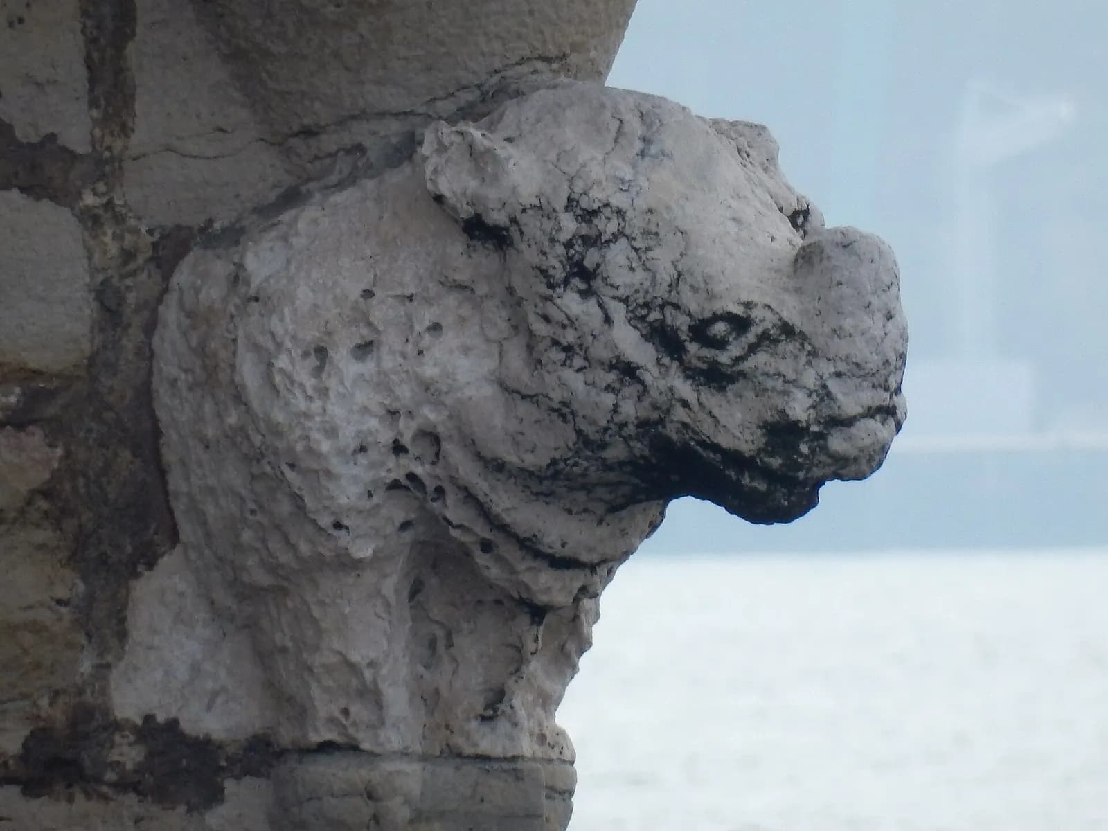 A weathered white limestone carving of an animal head jutting from the corner of a stone wall, with a short horn on its snout, small ears and heavy folds of skin, against a hazy river in the background.