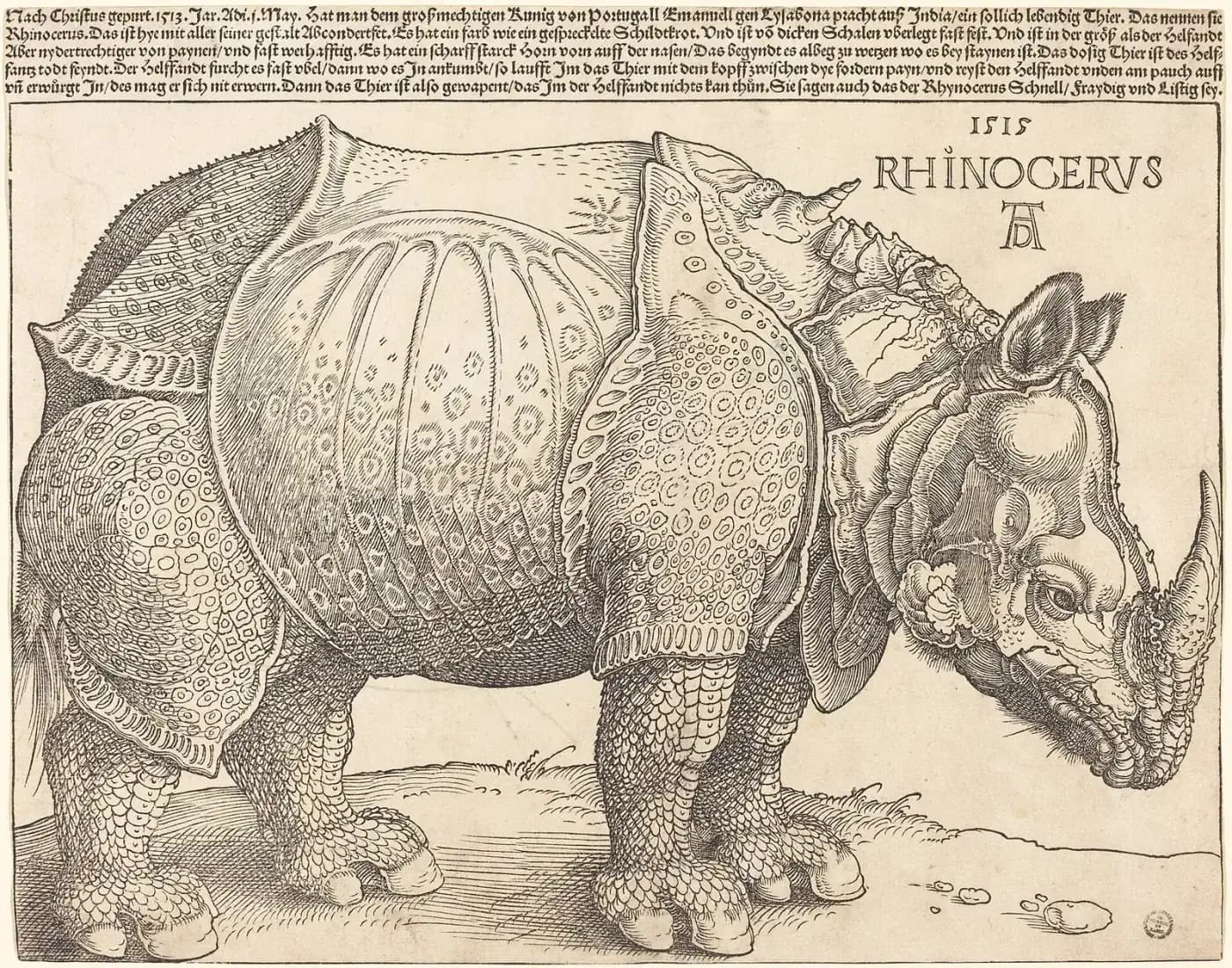 A black-and-white woodcut of a rhinoceros facing right, its body covered in plates like riveted armour with scaly patterns on the legs, a large horn on its nose and a small twisted horn on its shoulders. Five lines of German text run above it under the word RHINOCERVS and the date 1515.