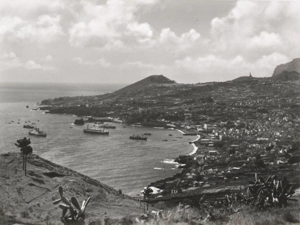 A black-and-white view from a hillside over a curving bay. Steamships and small boats lie at anchor off a town of white houses that climbs the slopes on the right, with a rounded headland beyond and prickly pear cactus in the foreground.
