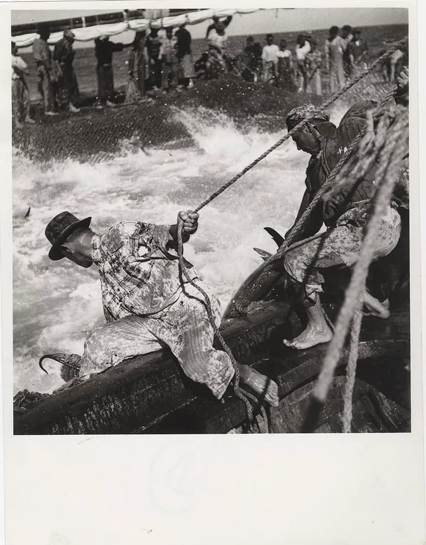 Black-and-white photograph of two barefoot fishermen in patched clothes hauling on thick ropes over the side of a wooden boat, with foaming water and a net full of fish beside them and a line of men standing on another boat behind.