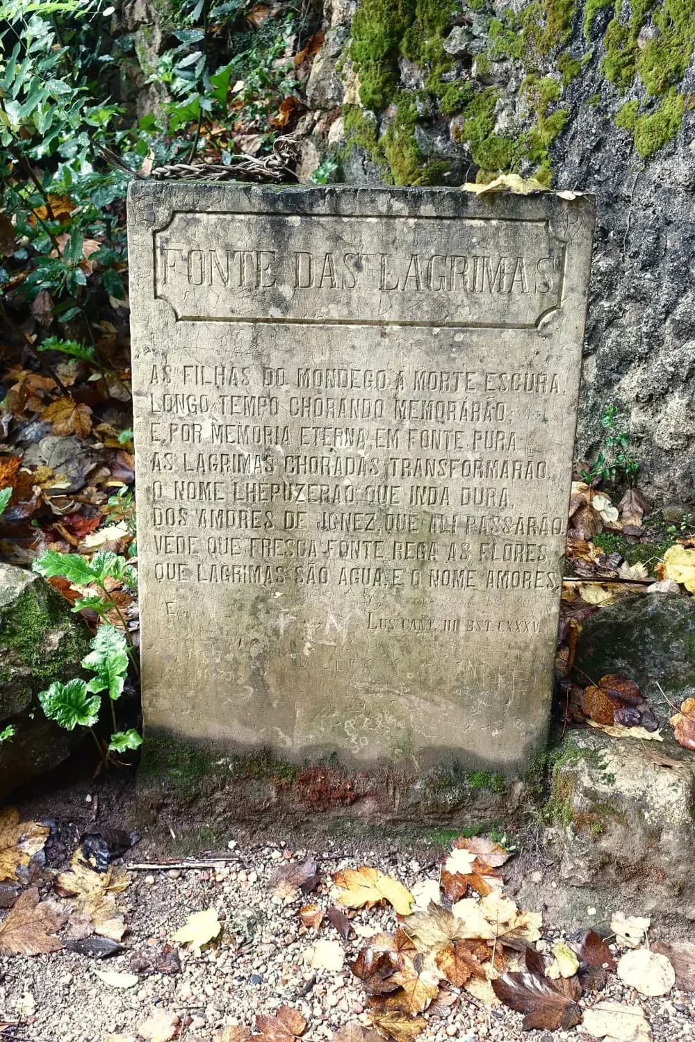 A weathered upright stone slab among fallen leaves, headed FONTE DAS LAGRIMAS and carved with eight lines of Portuguese verse.