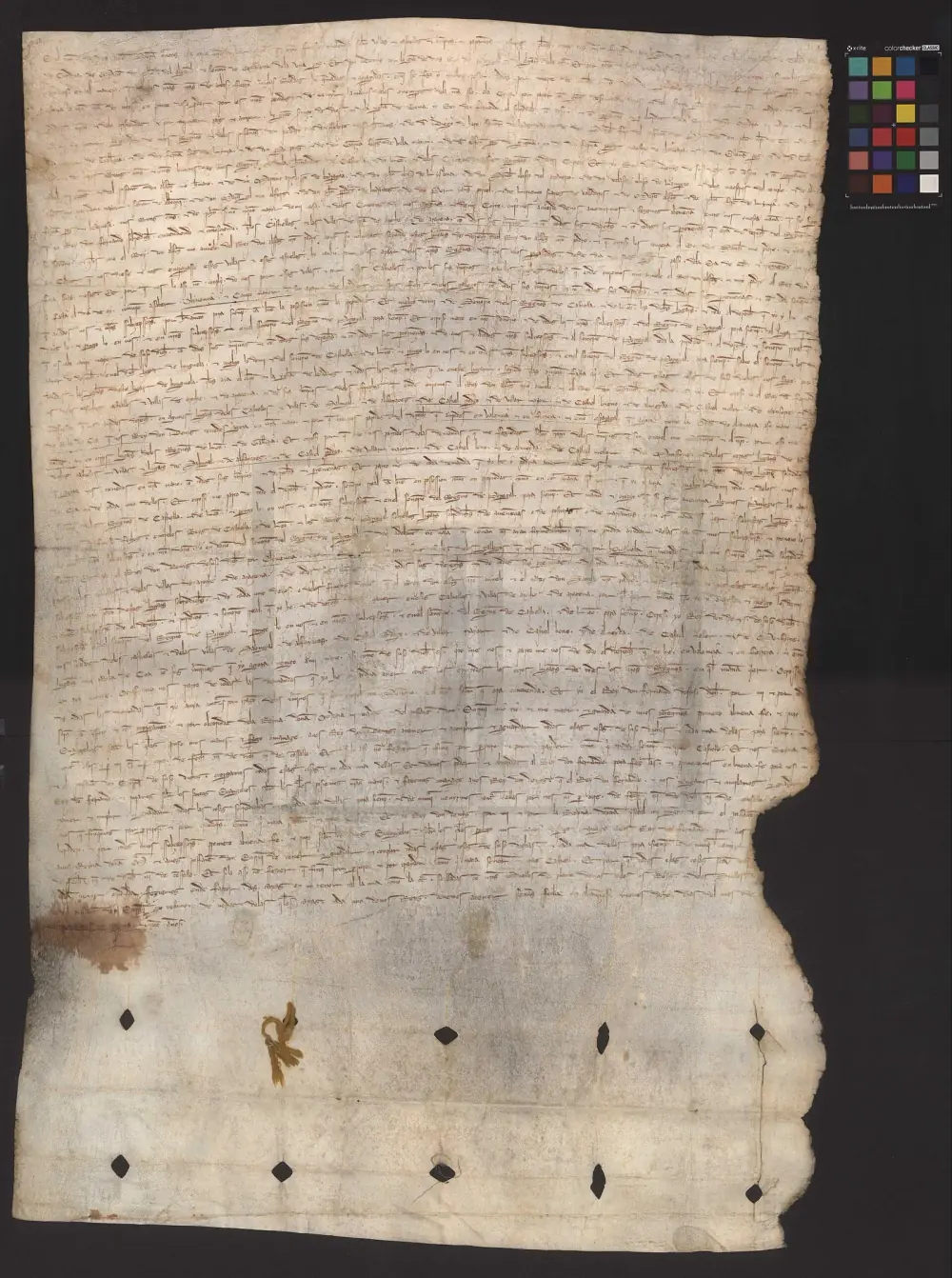 A large sheet of yellowed parchment covered edge to edge with dense lines of brown medieval handwriting. The lower part is blank apart from two rows of small diamond-shaped slits where seals once hung, one still holding a loop of yellow cord, and a colour calibration chart is laid beside the top right corner.
