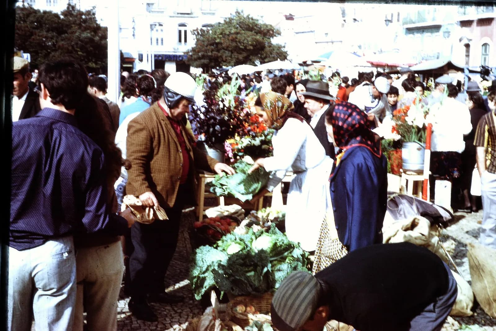 A crowded open-air market on a cobbled square: women in headscarves and aprons sell cabbages and greens from baskets on the ground, men in jackets and caps look on, and stalls of flowers stand under umbrellas in front of town houses.