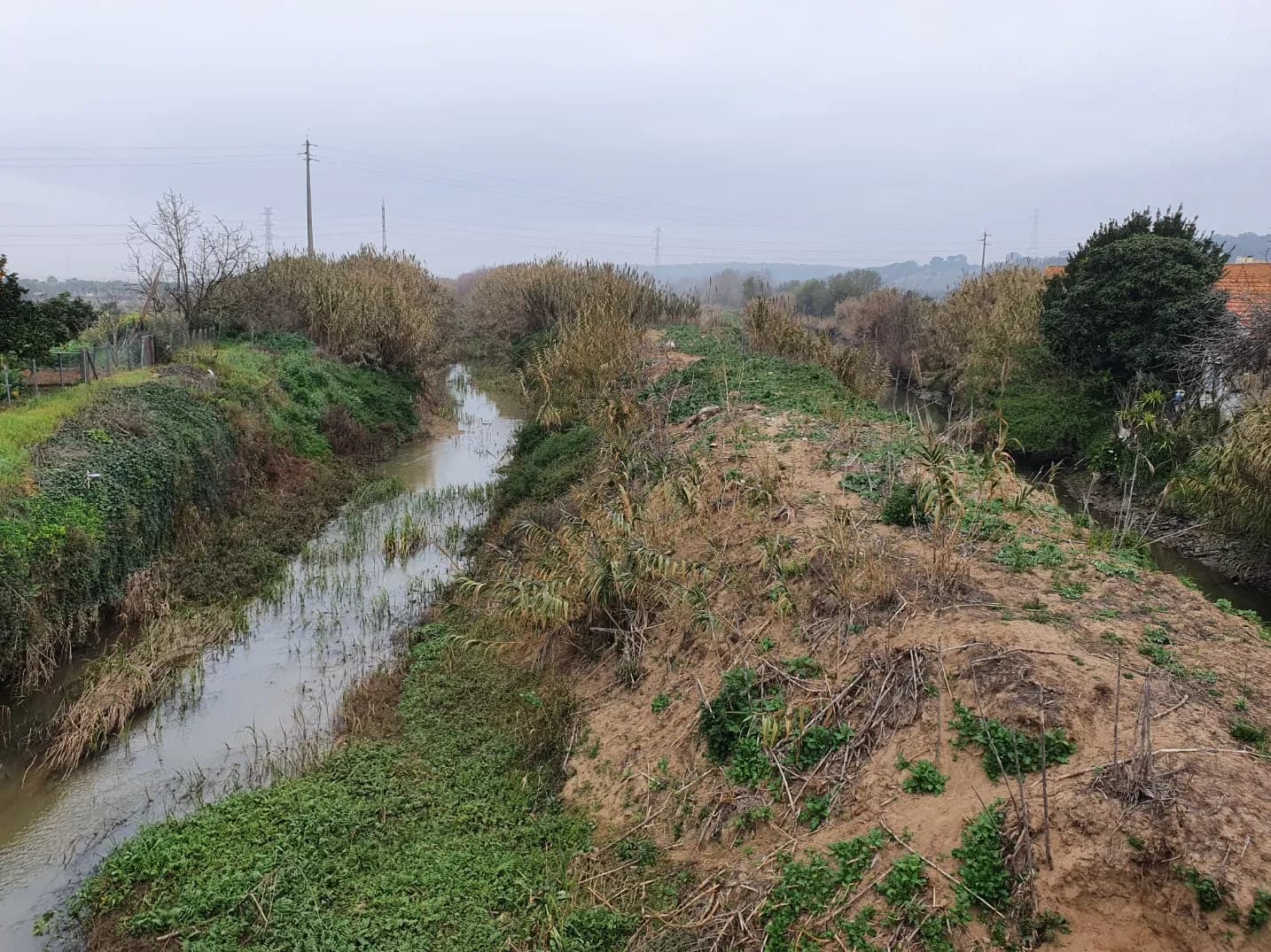 Two narrow, muddy channels run side by side between reed-covered earth banks on an overcast day, with electricity poles and low hills in the distance.