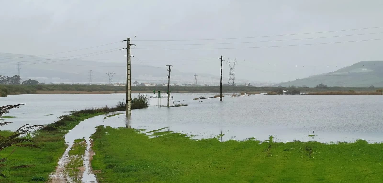 A wide flat valley under grey skies is covered by a sheet of floodwater. Electricity poles and pylons stand in the water, a muddy track runs into it from a green bank in the foreground, and low hills and houses line the horizon.