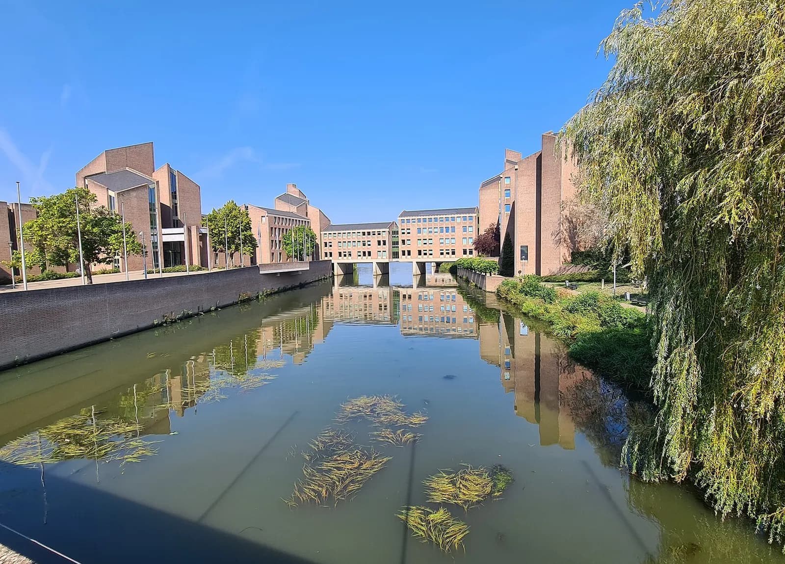 Brick office buildings with angular rooftops line both banks of a still canal under a blue sky. A long block on pillars bridges the water in the distance, and a weeping willow hangs over the right bank.