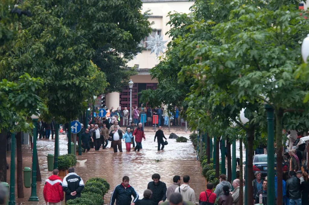 People in coats walk along a tree-lined street covered with shallow brown water. A crowd stands further along under the trees, and a star-shaped street decoration hangs from a building at the far end.