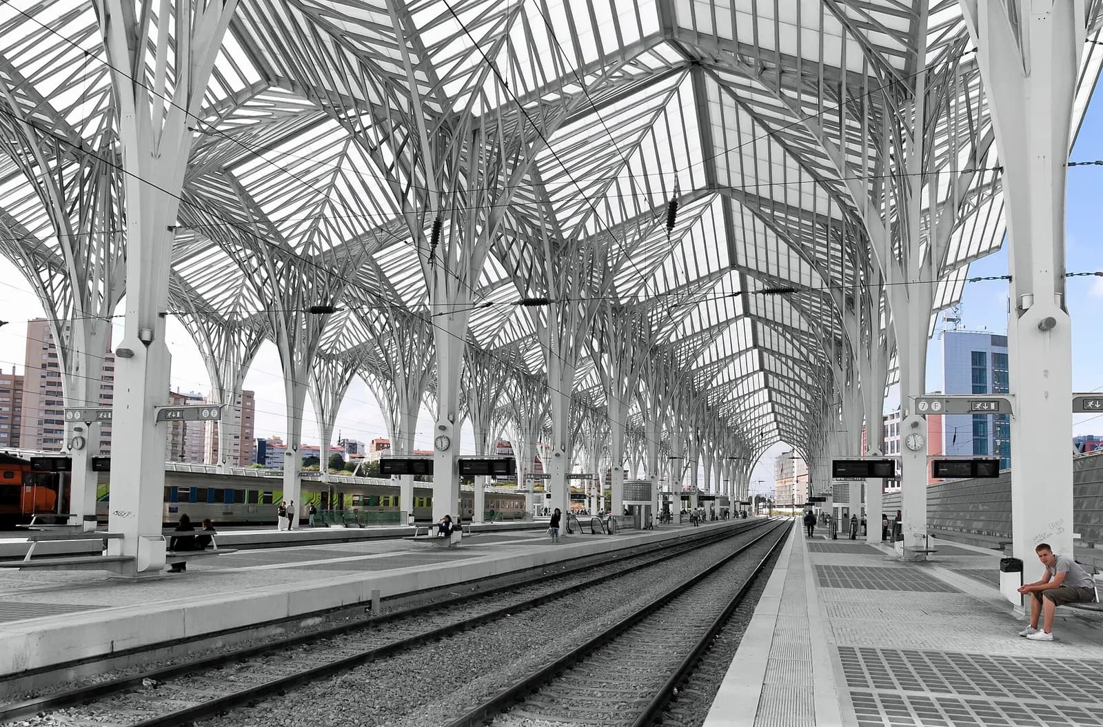 Railway platforms under a long glass roof held up by rows of white steel columns that branch at the top like trees. A train waits on the left and a young man sits on a bench on the right.