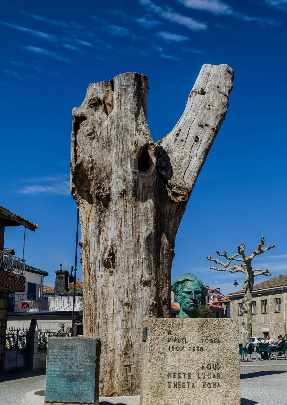 The tall, bleached, forked trunk of a dead tree rises against a deep blue sky. At its foot stand a green bronze bust of a man on a granite plinth carved with lettering, and a bronze plaque on a low stone.
