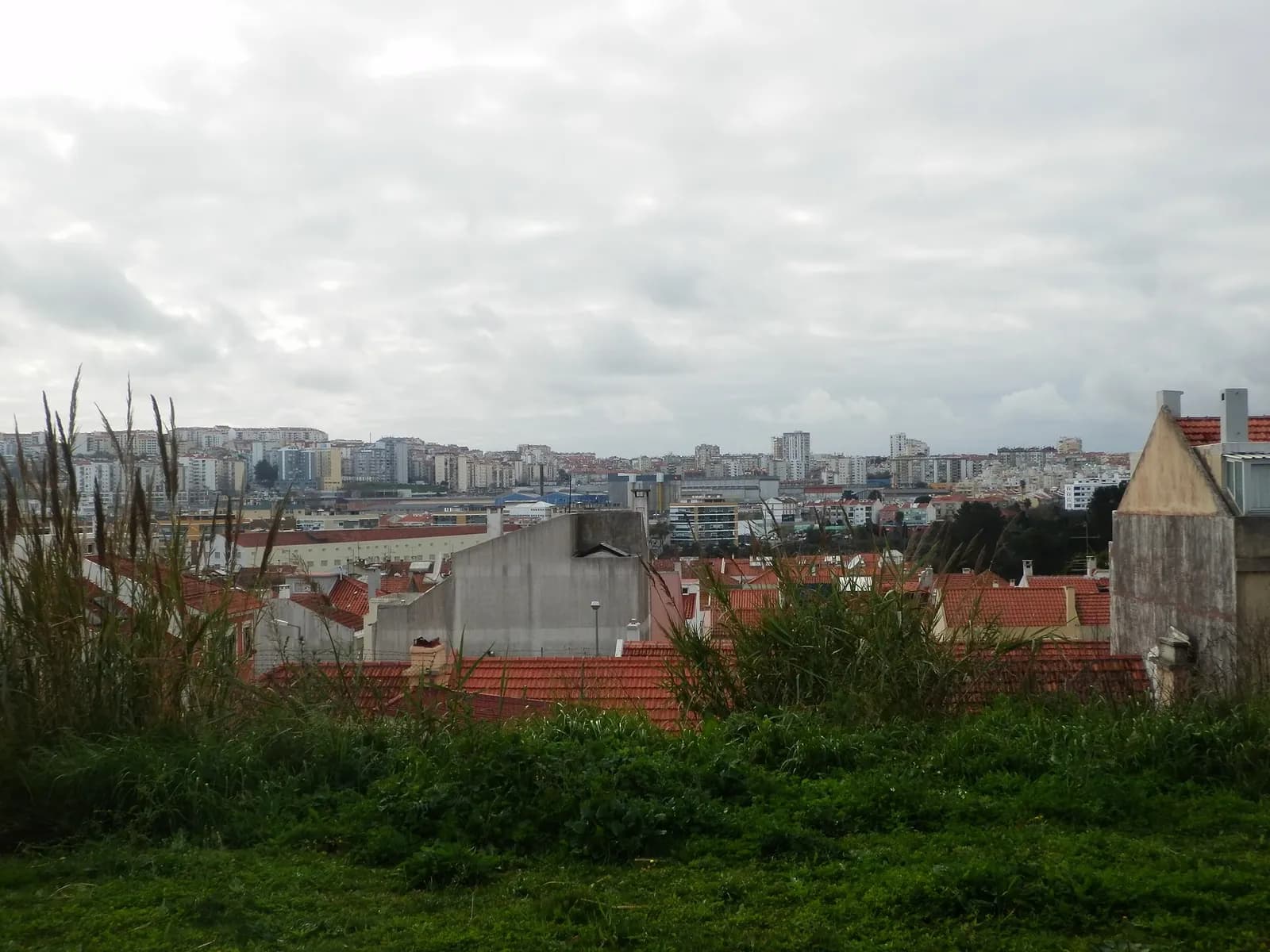 Under a grey sky, red-tiled roofs and the bare concrete wall of a house rise above tall grass in the foreground. Beyond them a plain of warehouses and low buildings stretches to a ridge crowded with white and pastel apartment blocks.