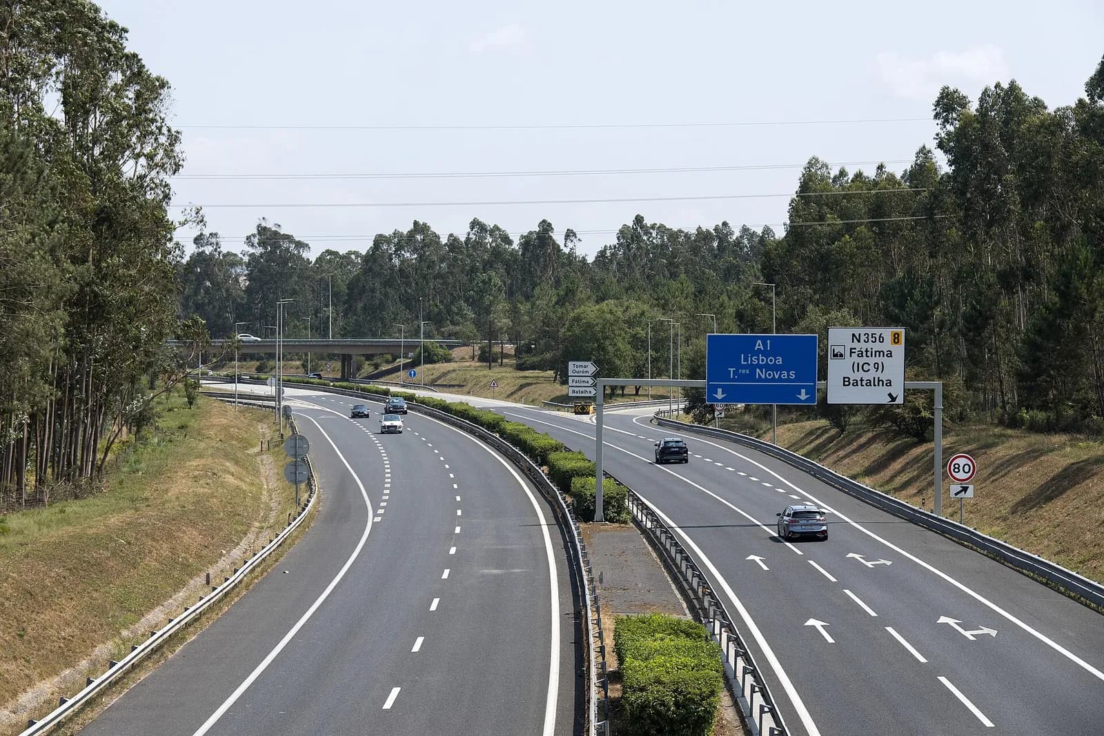 A dual carriageway motorway curving through eucalyptus woods, with a blue overhead sign for the A1 to Lisboa and a white exit sign for Fátima and Batalha.