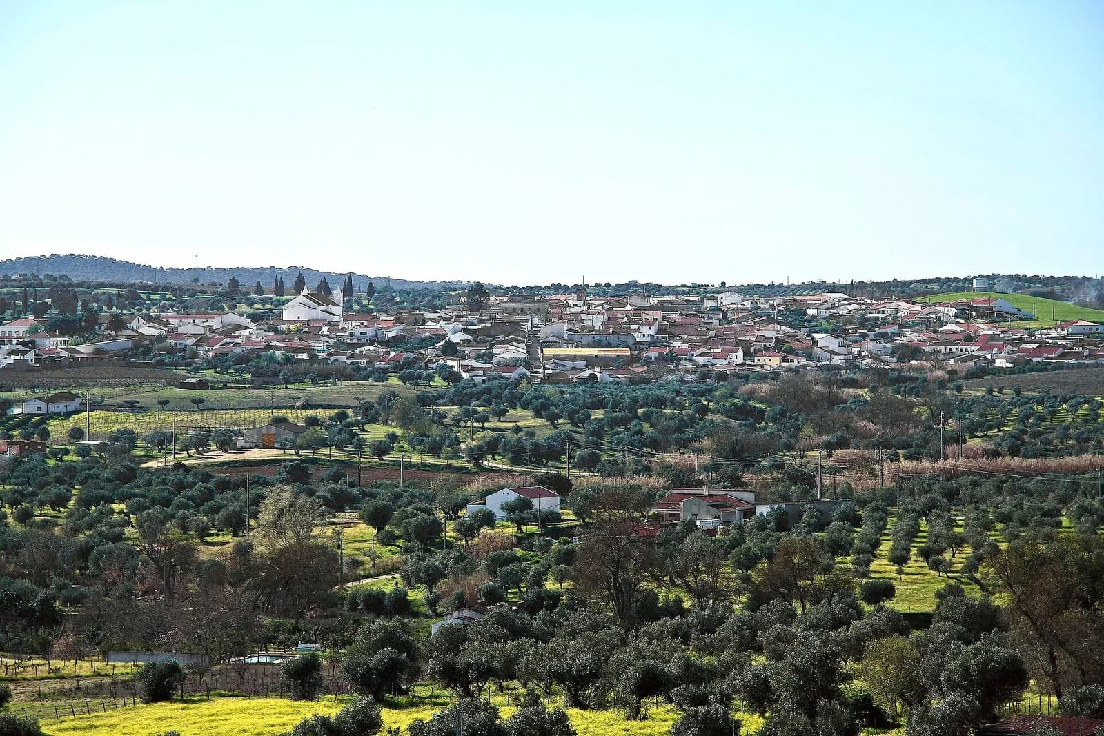 A small town of white houses with red-tiled roofs spreads along a low ridge, with a white church among them, above a broad slope of olive groves and green fields under a pale sky.