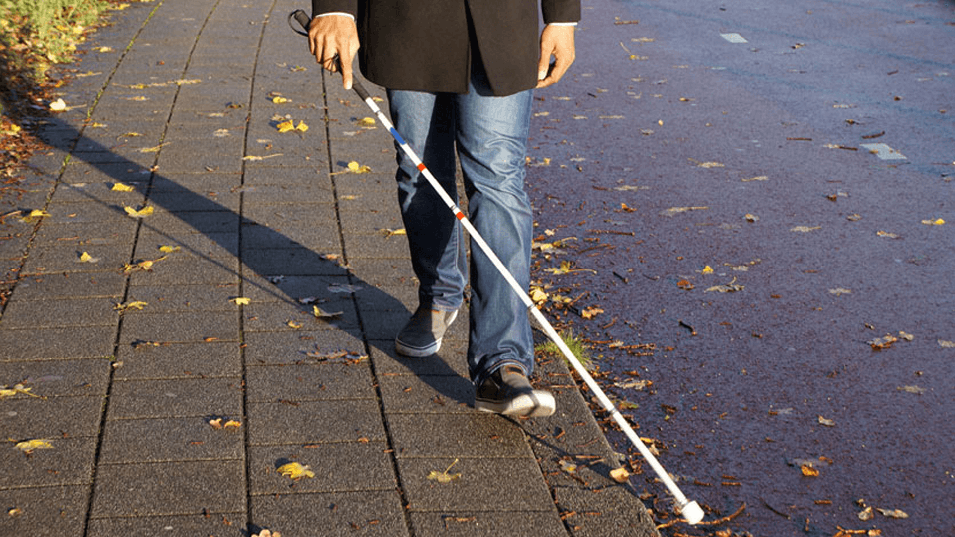 Association of the Blind and Partially Sighted of Portugal marks 37 years this weekend