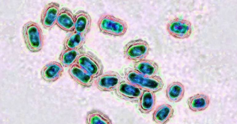 Ribeira Grande: Meningitis case identified at school