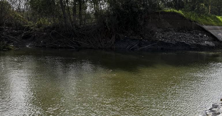 Guimarães warns of floods in real time