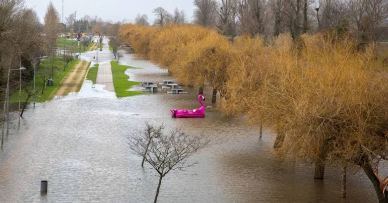 Mondego flow stabilised, but Ereira fears more rain