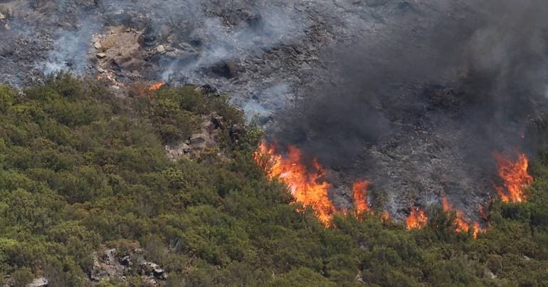 Firefighting tractors arrive in Médio Tejo