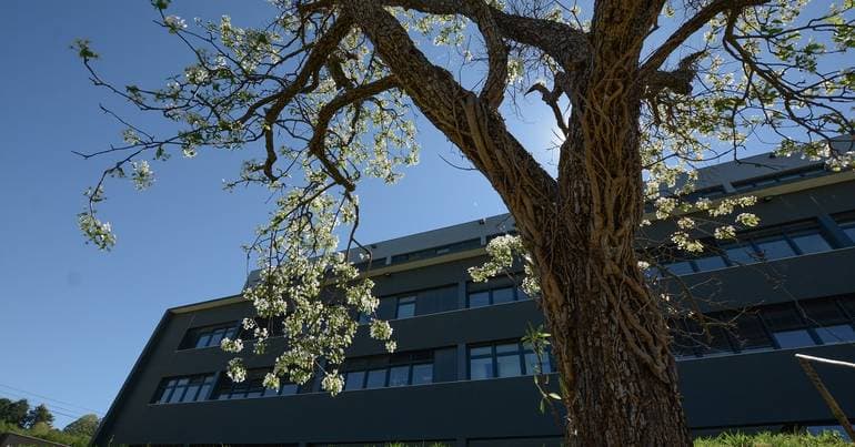Integrated master's degree in medicine starts at UTAD with 40 places