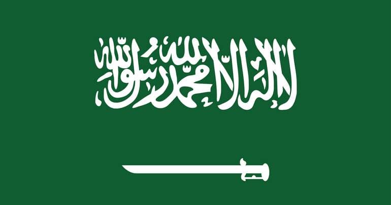 Saudis seek to boost investment in Portugal