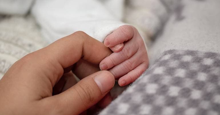 6-month parental leave. UTAO says it costs 230 million