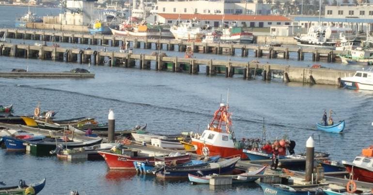 Aveiro approves tender for waste collection and transport