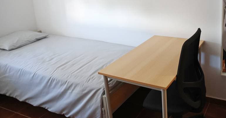 Castelo Branco launches tender for student accommodation