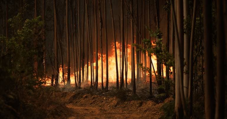 Fire in Fornos de Algodres brought under control