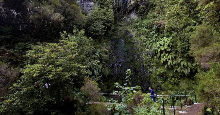 More than 40 people fined on Madeira's hiking trails
