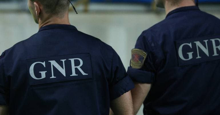 GNR dismantles drug network and arrests seven people